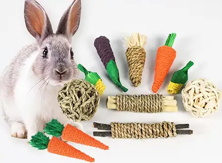 Hand-woven seagrass chew toy set for rabbits