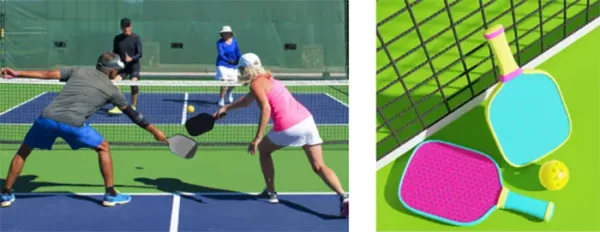 pickeball paddle