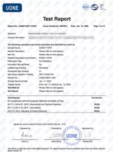 EN71 Test Report