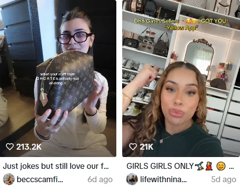 Made-in-China luxury blowing up on TikTok