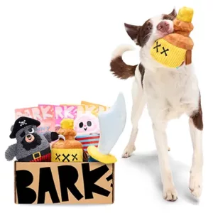 Barkbox product picture