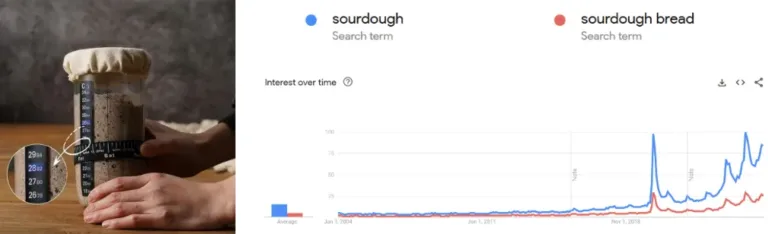 Google search trend of sourdough bread