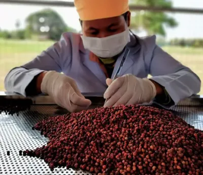 Kampot pepper